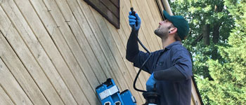 Pest Control Services image showing a man spraying a nest with poison