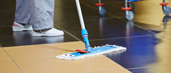 Specialist Cleaning Services image demonstrating a professional cleaner